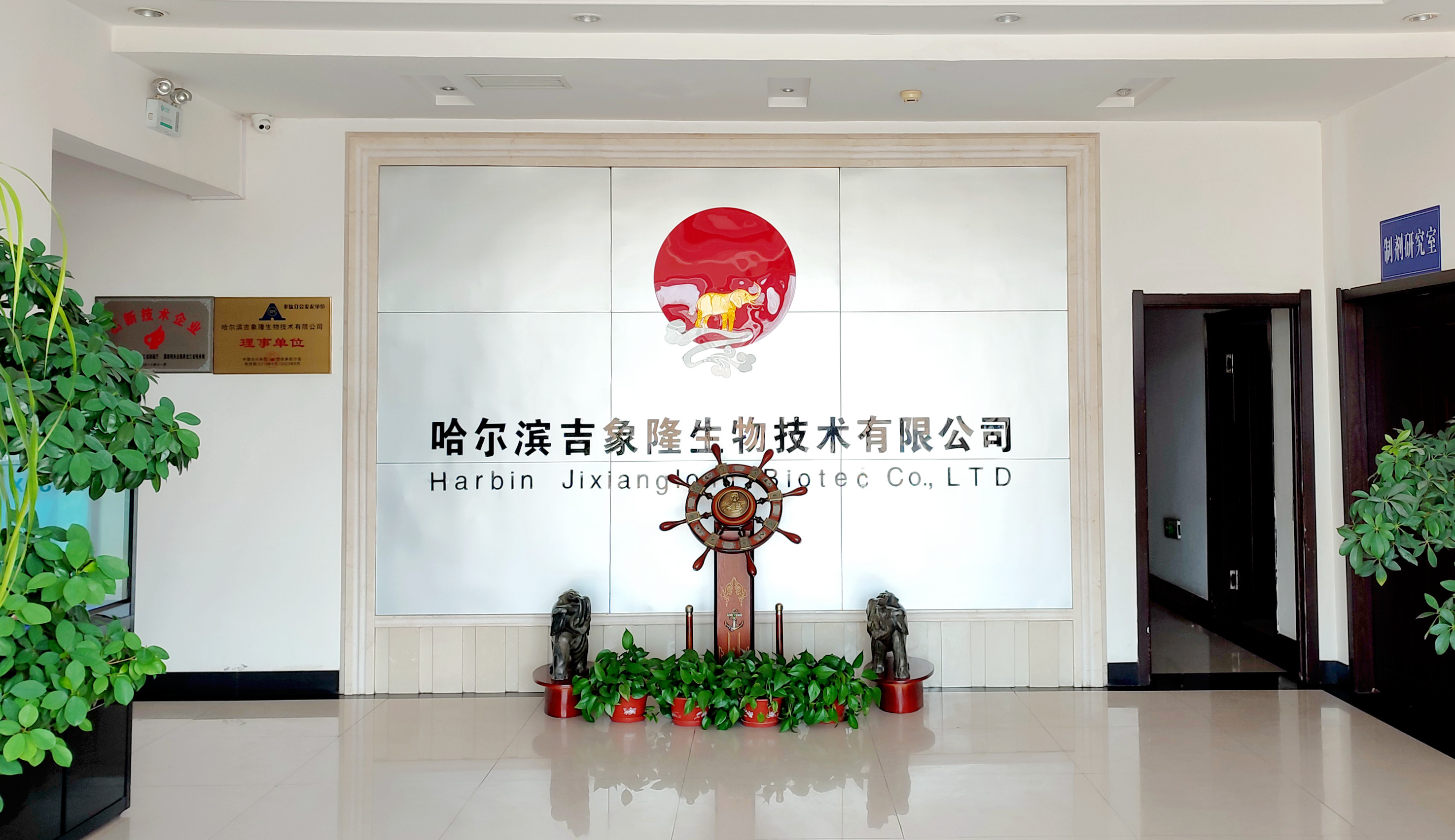 开云手机登录入口